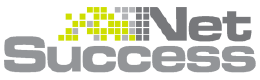 Net Success logo